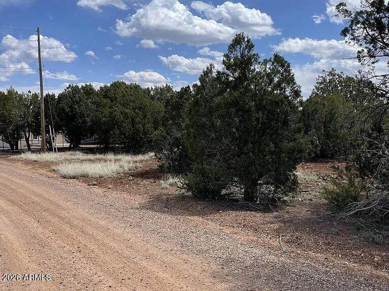 1879 Turkey Flat Place - Photo 1