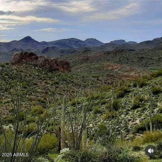 004K Hardt Tank Road - Photo 1