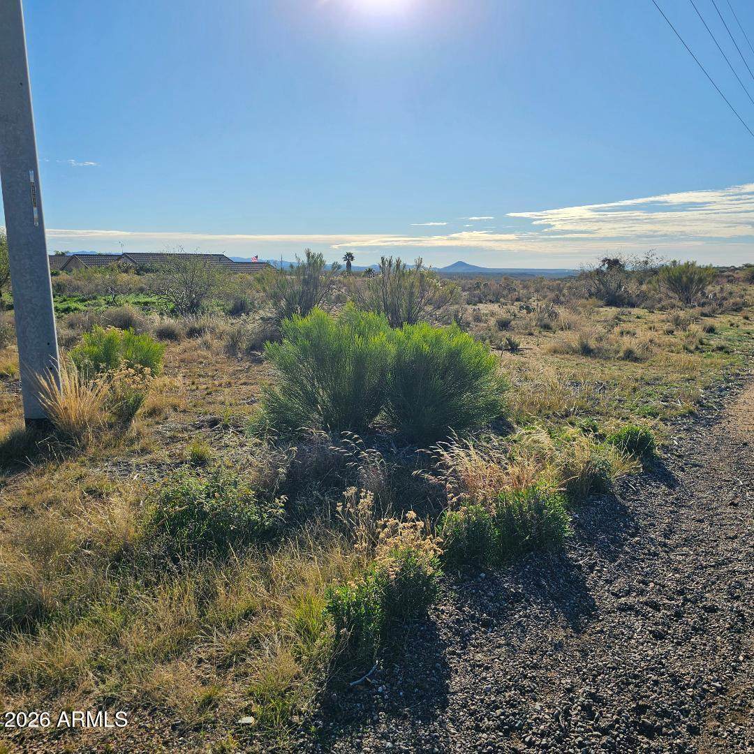 27247 Deep Creek Drive - Photo 1