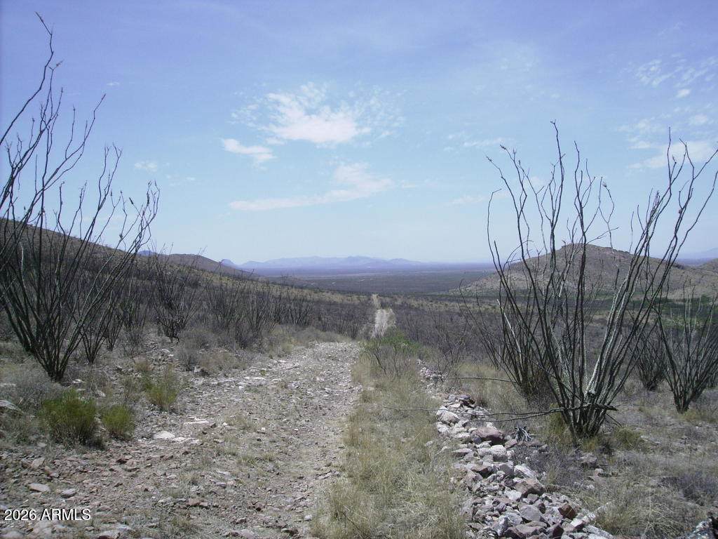 405-77-109 Wilderness Trail - Photo 1