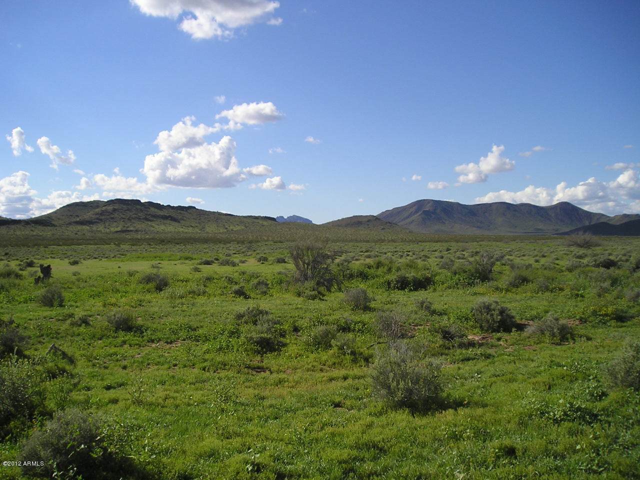 X20 Horseshoe Trail - Photo 1