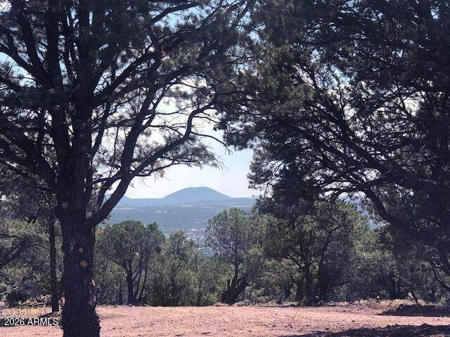 Lot 20 Mountain Pine Road - Photo 1