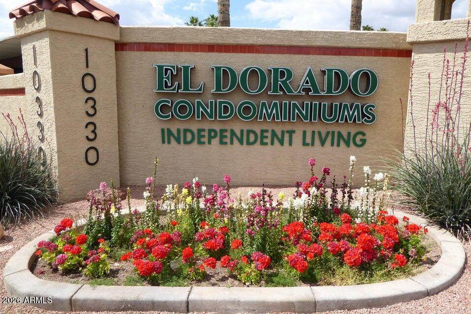 10330 Thunderbird Boulevard - Photo 1