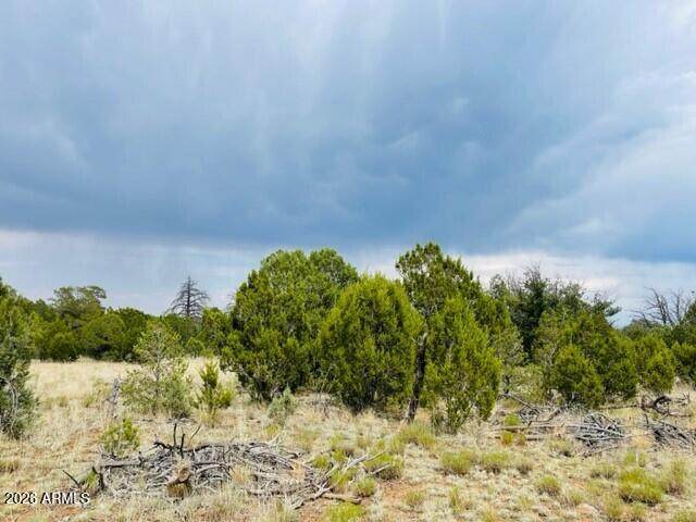 8418 Haven Crest Drive - Photo 1