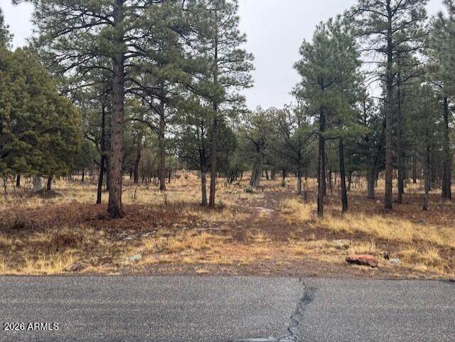 2625 Roundup Lane - Photo 1