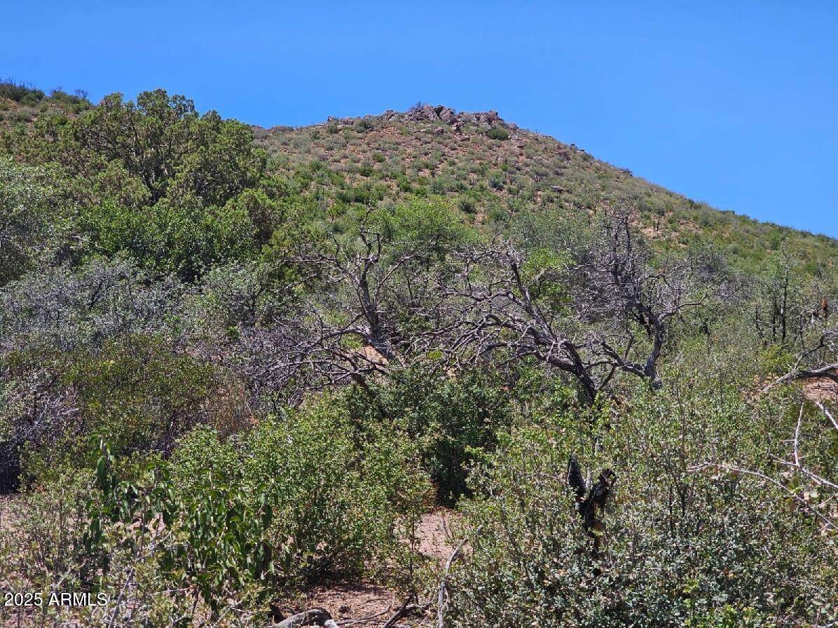 4XX El Capitan Drive - Photo 1