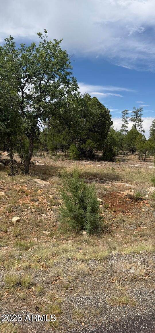 2989 Robin Lane - Photo 1
