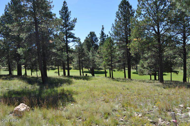 2900 Solitaires Canyon Drive - Photo 1