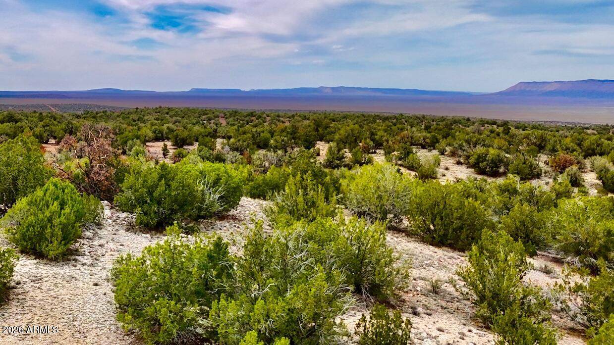 31326 Cll Barril 9.34 Acres - Photo 1