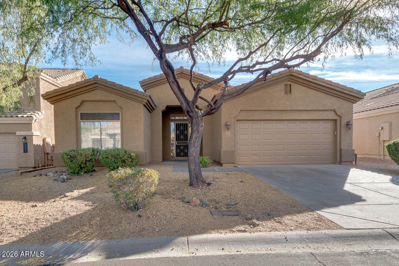 33849 43RD Street - Photo 1