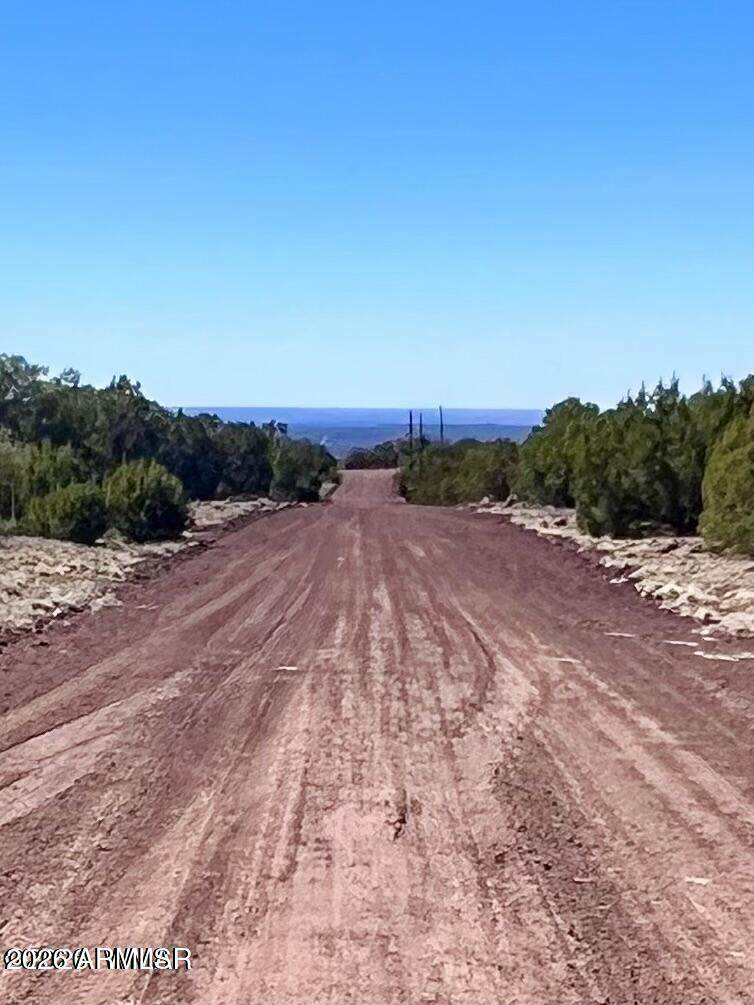 TBD Co Rd 8307 Lot 100 - Photo 1