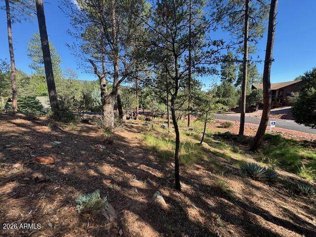 lot 33 Sage Court - Photo 1