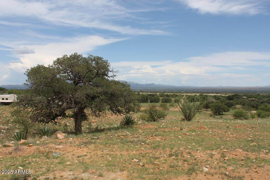 037 Desperado Drive - Photo 1