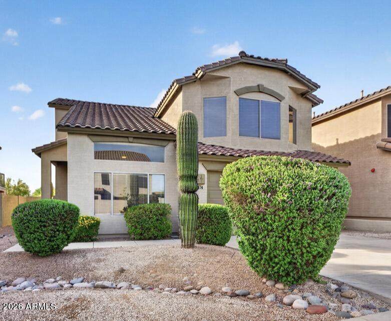 7474 Christmas Cholla Drive - Photo 1