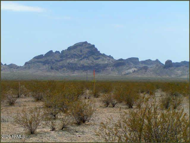 0 Salome Highway - Photo 1