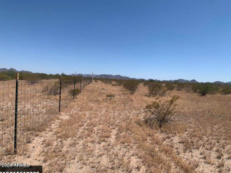 X Spur Road - Photo 1