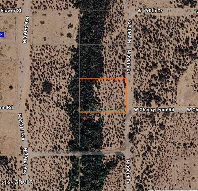 3204 390TH Drive - Photo 1
