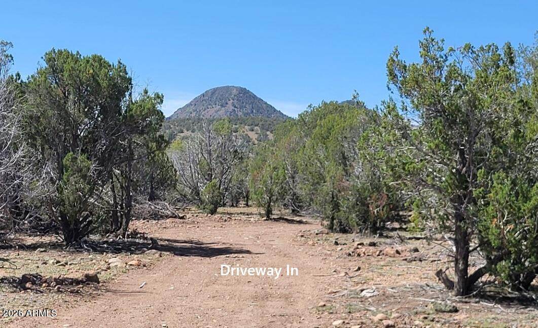 107A Ranch Road - Photo 1