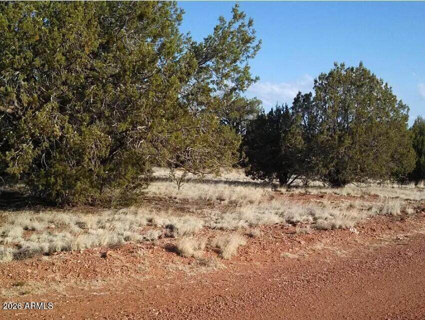 625 Mystery Lane - Photo 1