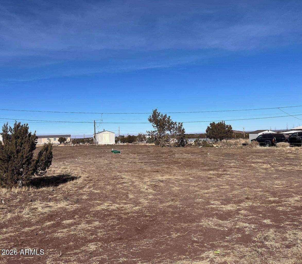 8514 Jackrabbit Drive - Photo 1