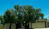 19649 11TH Street - Photo 29