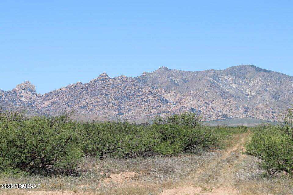 TBD Cody Street - Photo 1