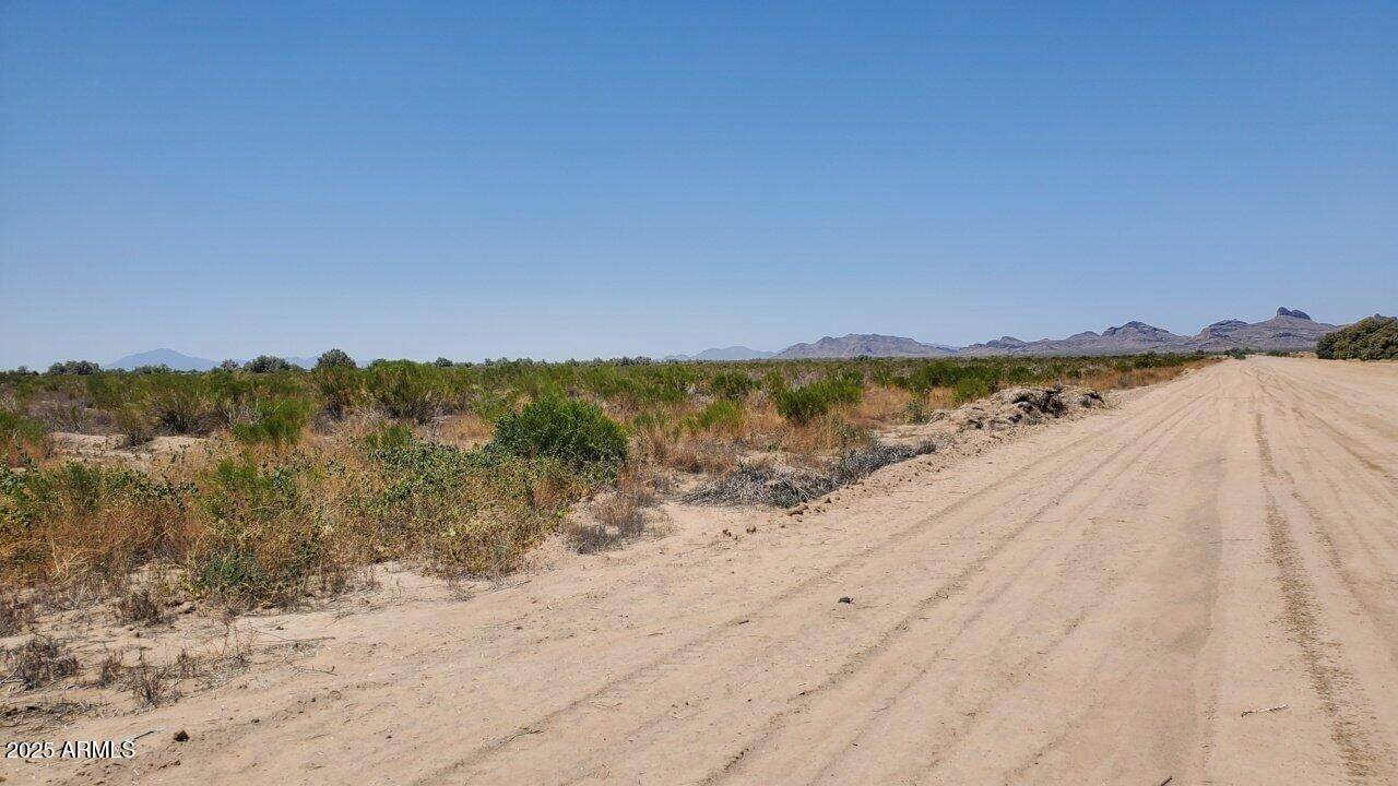 0000 Curtis Road - Photo 1