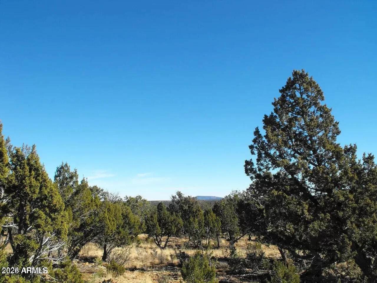 4131 Sunset Ridge Loop - Photo 1