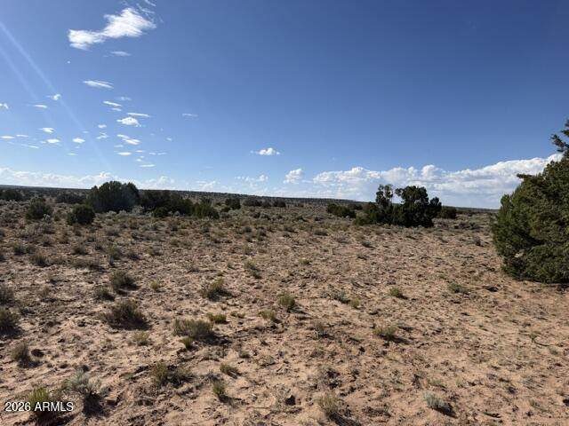 TBD County Rd N7207 - Photo 1