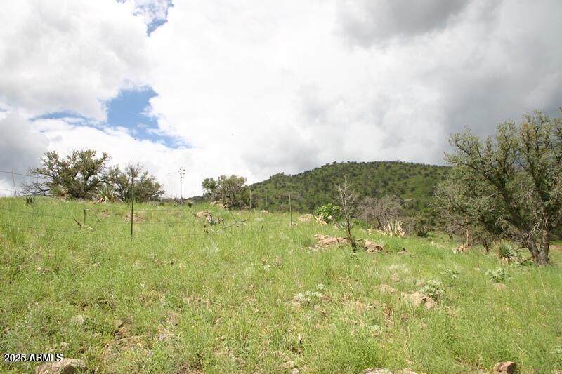 009N One More Road - Photo 1