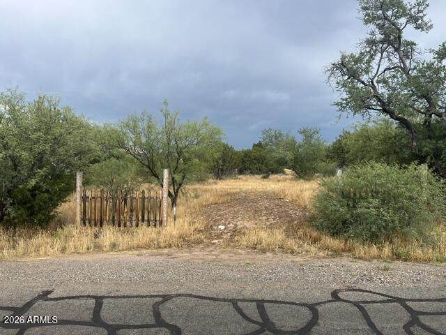 4325 Pine Drive - Photo 1