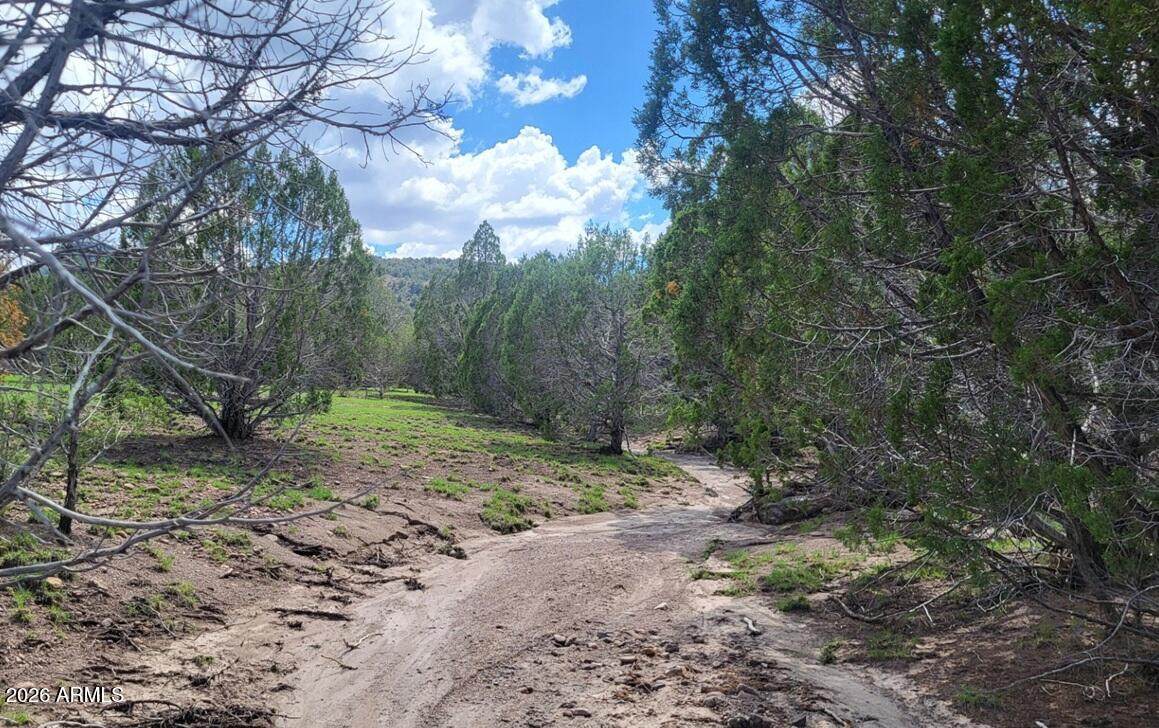 111 Ranch Road - Photo 1