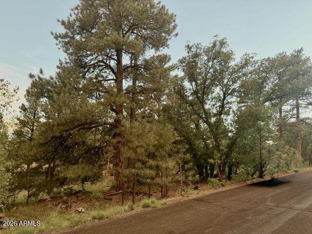 645 Trout Creek Road - Photo 1