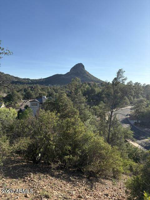1310 Sierry Peaks Drive - Photo 1