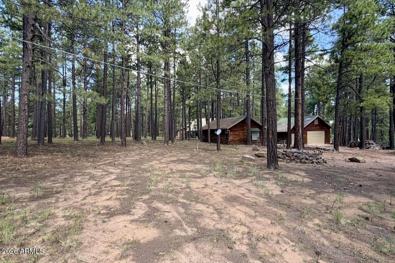 2507 Middle Loop - Photo 1