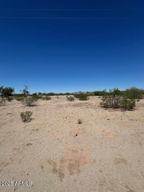 51632 Webb Street - Photo 1