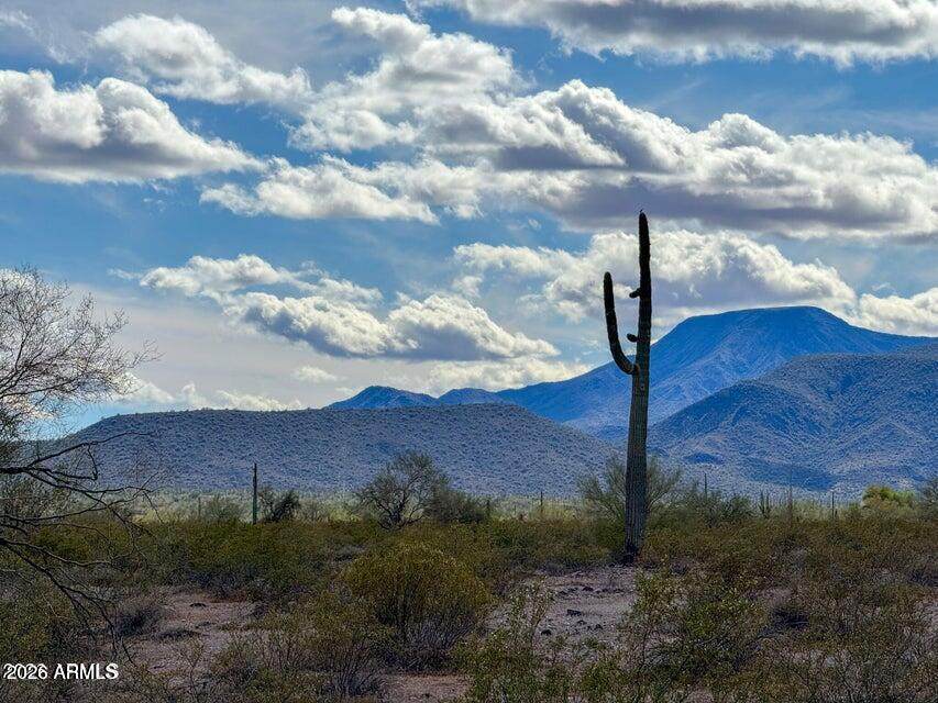 0 Almendra Rd Lot B 1.67 Acres - Photo 1