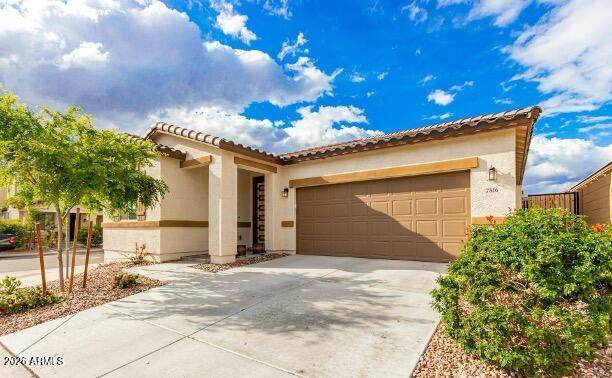 7816 Billings Street - Photo 1