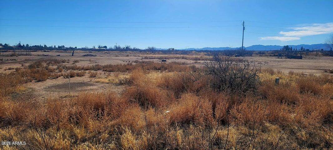 Lot 13 Swisshelm Trail - Photo 1