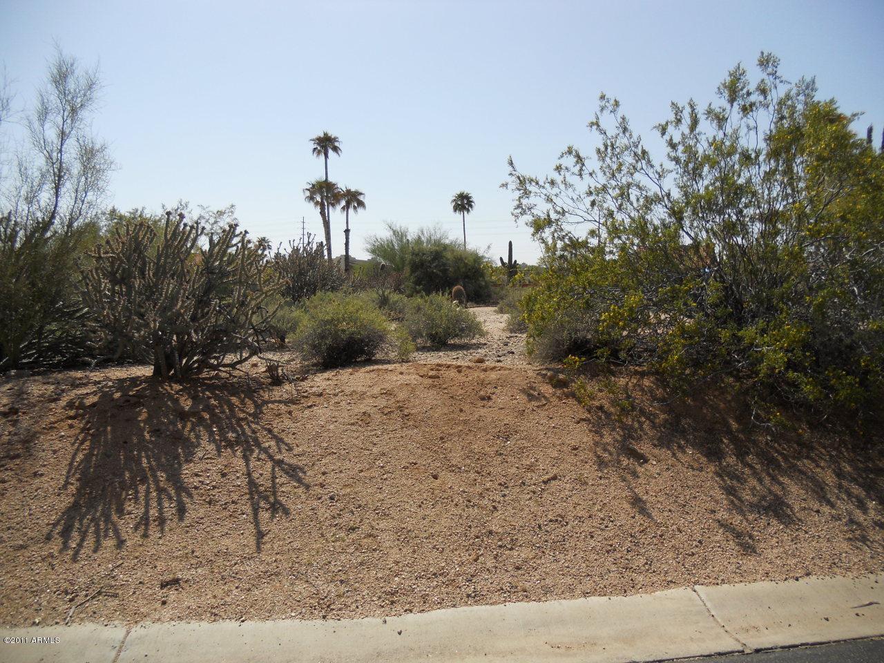 18442 Sierra Vereda - Photo 1