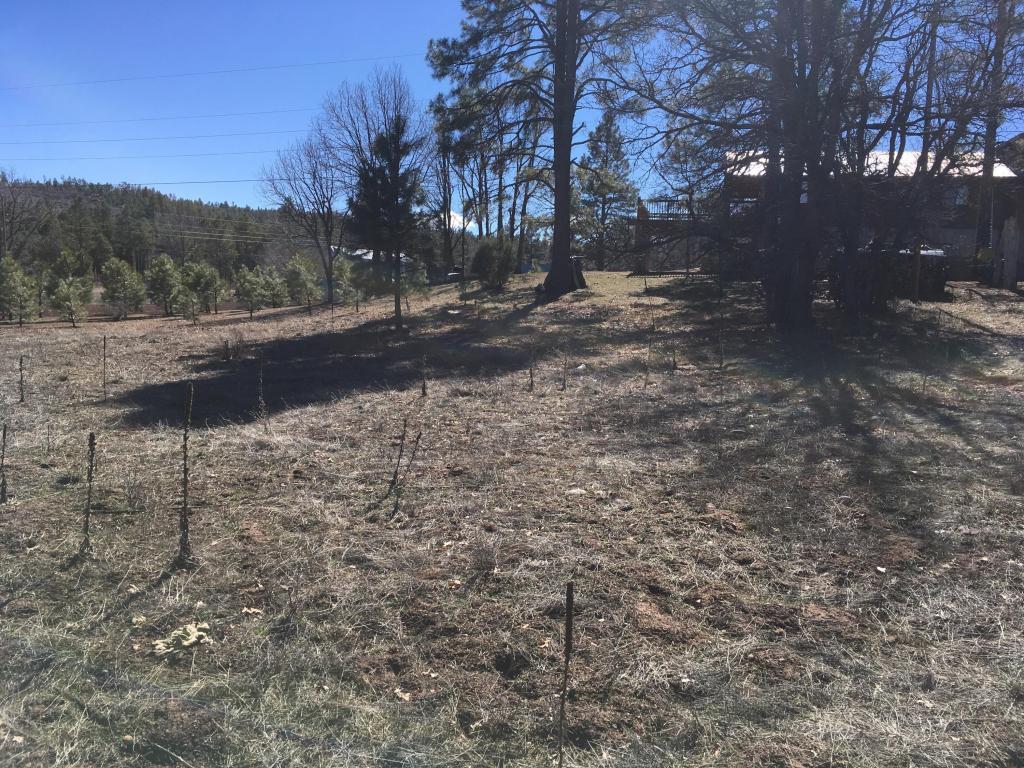 5523 Turkey Run - Photo 1