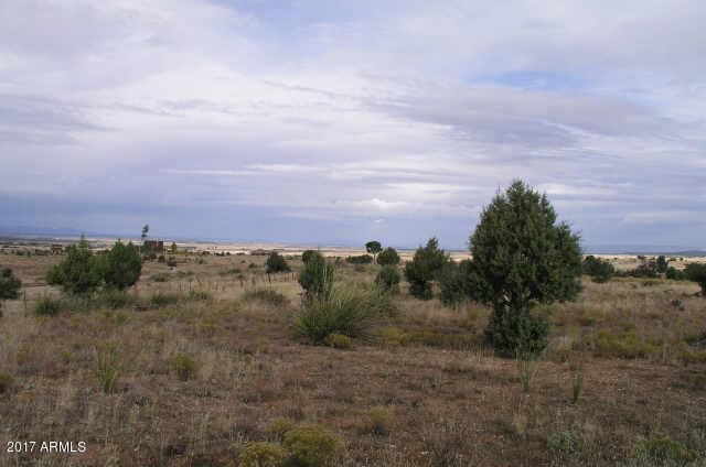 13327 Walking Y Lane - Photo 1
