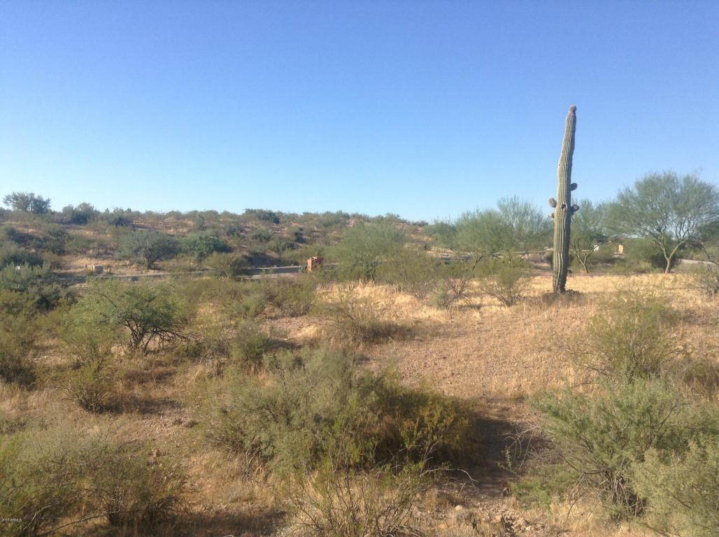 0 Percheron Road - Photo 1