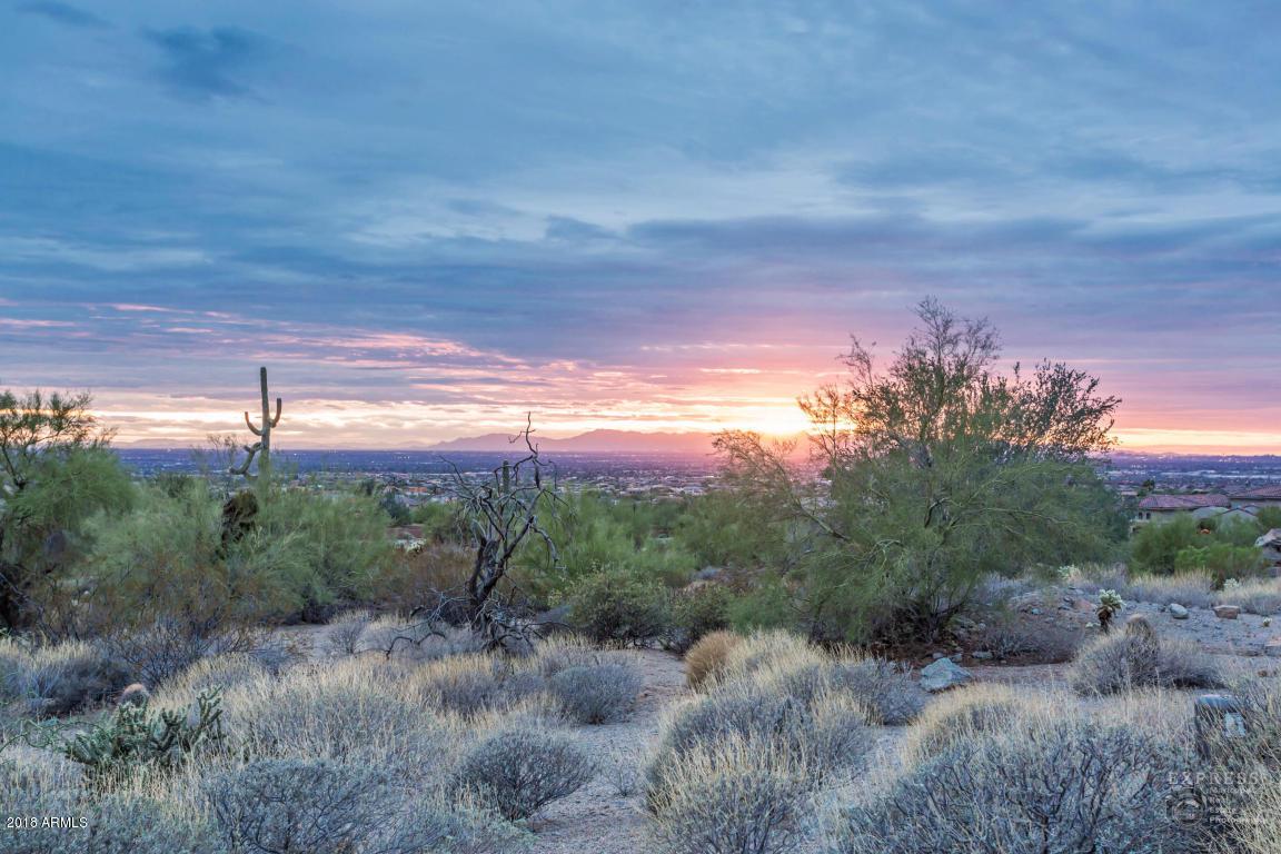 3517 Shadow Trail Trail - Photo 1