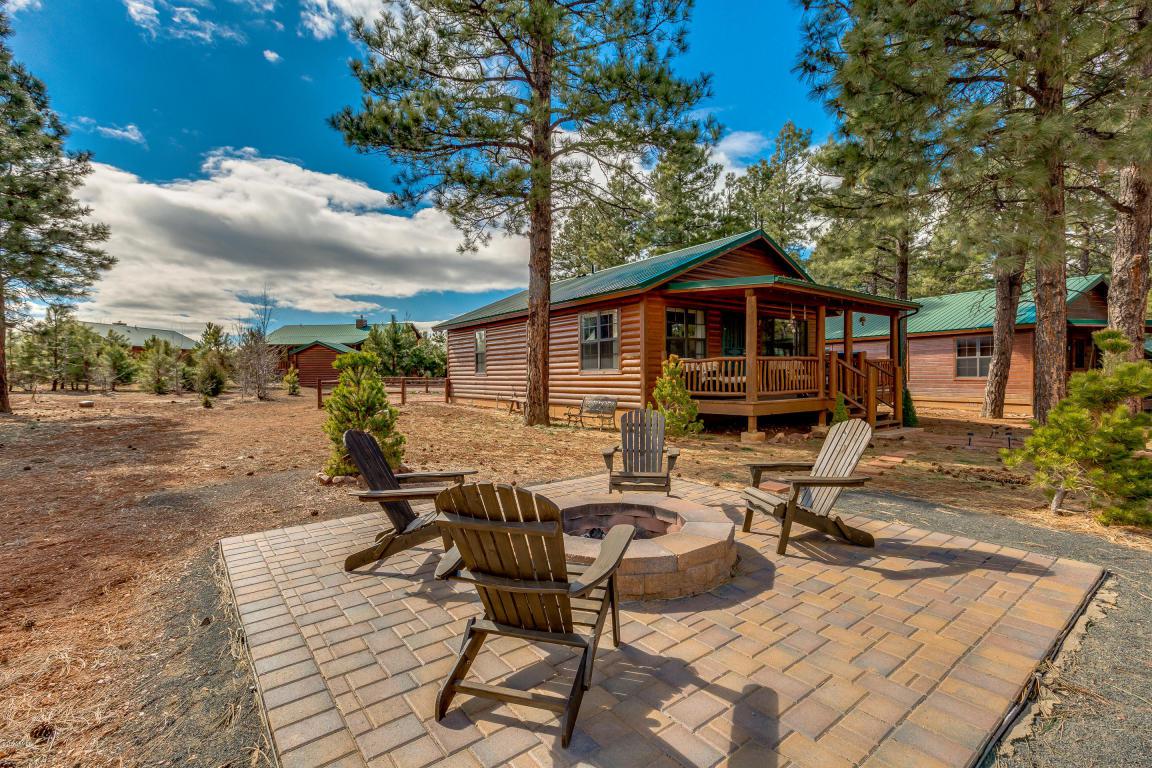 2699 Palomino Trail - Photo 1