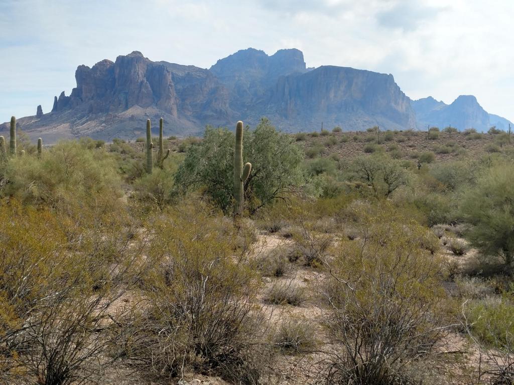 4400 Az-88 Highway - Photo 1