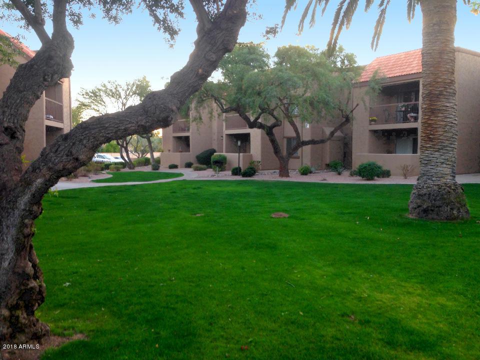 8256 Arabian Trail - Photo 1