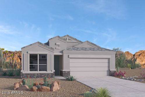2038 Yellowbird Lane - Photo 1