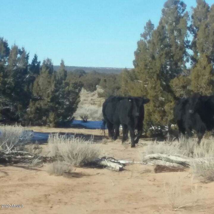 Lot 106C Red Sky Ranch 106C Estates - Photo 1