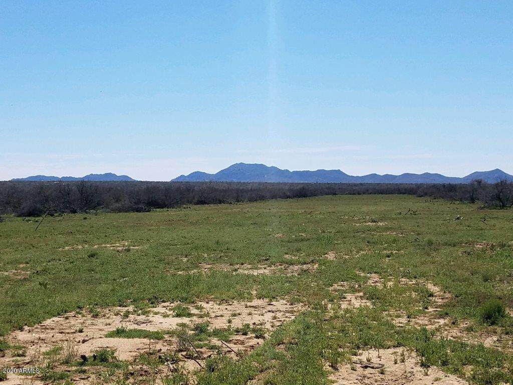13700 Date Creek Road - Photo 1